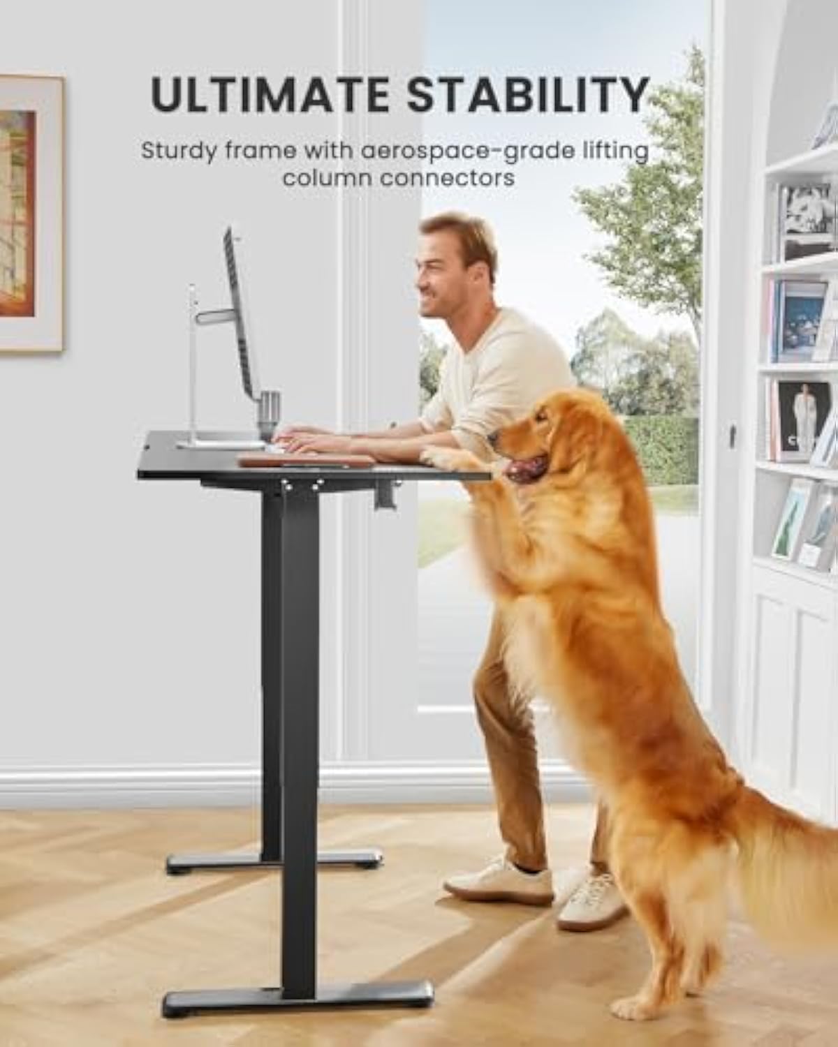 Adjustable Electric Standing Desk